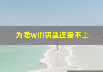 为啥wifi钥匙连接不上