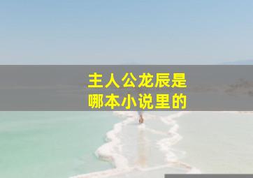 主人公龙辰是哪本小说里的