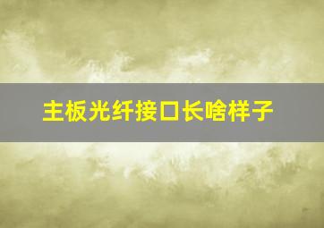 主板光纤接口长啥样子