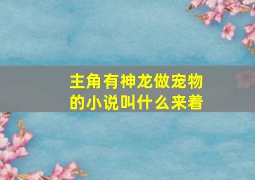 主角有神龙做宠物的小说叫什么来着