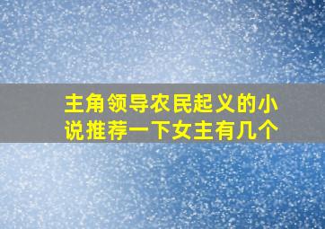 主角领导农民起义的小说推荐一下女主有几个