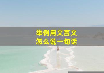 举例用文言文怎么说一句话