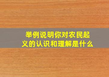 举例说明你对农民起义的认识和理解是什么