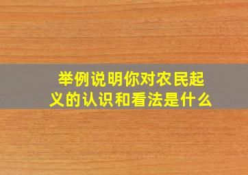 举例说明你对农民起义的认识和看法是什么