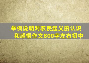 举例说明对农民起义的认识和感悟作文800字左右初中