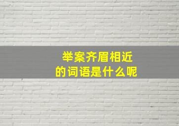 举案齐眉相近的词语是什么呢