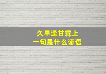 久旱逢甘霖上一句是什么谚语