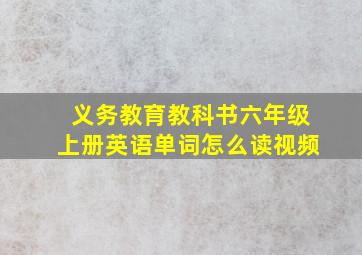 义务教育教科书六年级上册英语单词怎么读视频