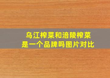 乌江榨菜和涪陵榨菜是一个品牌吗图片对比