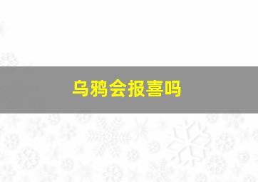 乌鸦会报喜吗