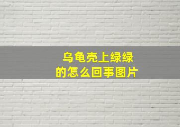 乌龟壳上绿绿的怎么回事图片