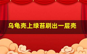 乌龟壳上绿苔刷出一层壳