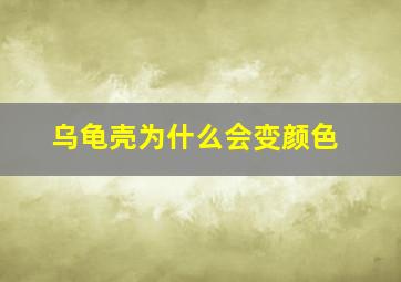 乌龟壳为什么会变颜色