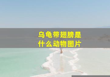 乌龟带翅膀是什么动物图片