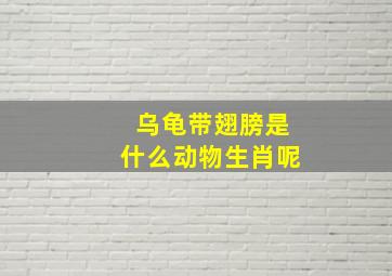 乌龟带翅膀是什么动物生肖呢