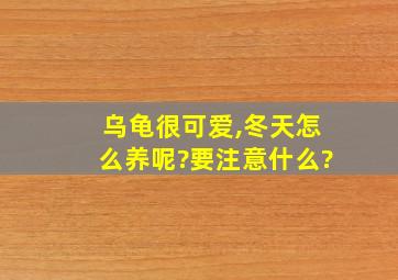 乌龟很可爱,冬天怎么养呢?要注意什么?