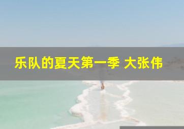 乐队的夏天第一季 大张伟