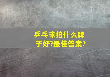 乒乓球拍什么牌子好?最佳答案?