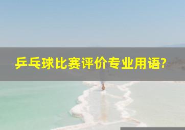 乒乓球比赛评价专业用语?