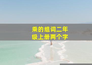 乘的组词二年级上册两个字