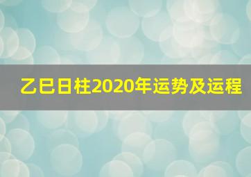 乙巳日柱2020年运势及运程