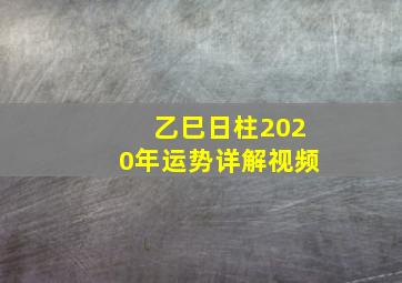 乙巳日柱2020年运势详解视频