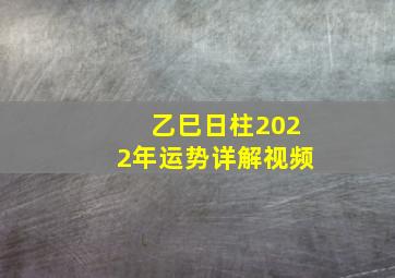 乙巳日柱2022年运势详解视频