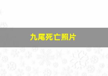 九尾死亡照片