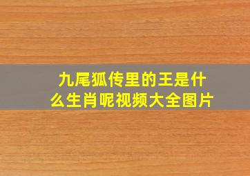 九尾狐传里的王是什么生肖呢视频大全图片