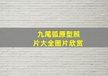 九尾狐原型照片大全图片欣赏