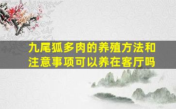 九尾狐多肉的养殖方法和注意事项可以养在客厅吗