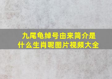 九尾龟绰号由来简介是什么生肖呢图片视频大全