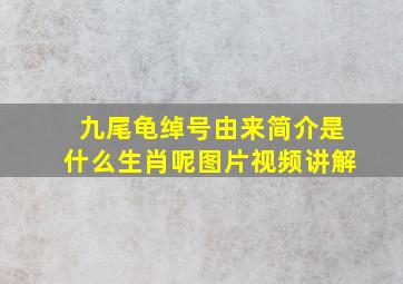 九尾龟绰号由来简介是什么生肖呢图片视频讲解