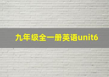 九年级全一册英语unit6