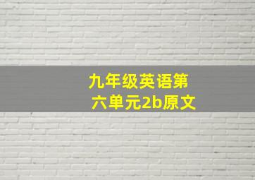 九年级英语第六单元2b原文