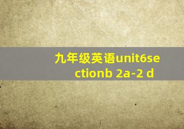 九年级英语unit6sectionb 2a-2 d