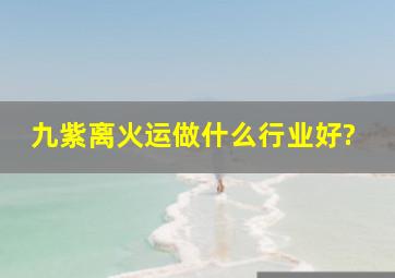 九紫离火运做什么行业好?