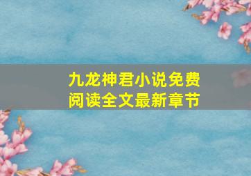 九龙神君小说免费阅读全文最新章节