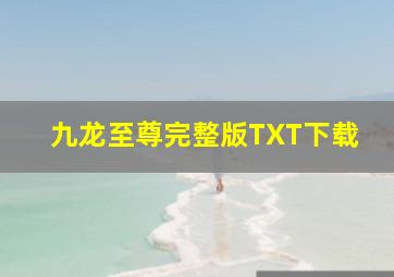 九龙至尊完整版TXT下载