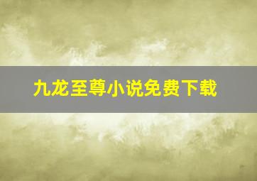 九龙至尊小说免费下载