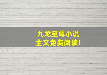 九龙至尊小说全文免费阅读l