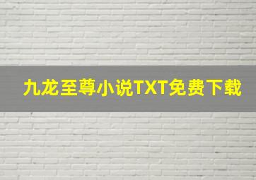 九龙至尊小说TXT免费下载