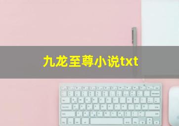 九龙至尊小说txt