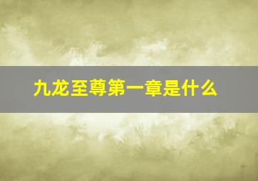 九龙至尊第一章是什么