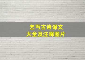 乞丐古诗译文大全及注释图片