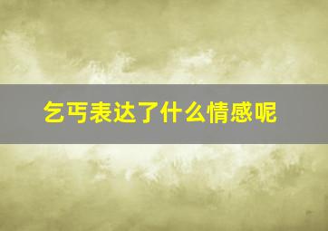 乞丐表达了什么情感呢