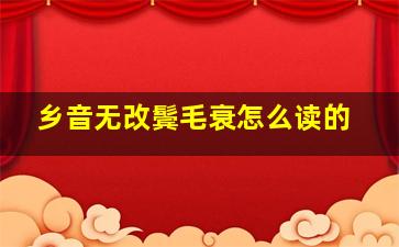 乡音无改鬓毛衰怎么读的