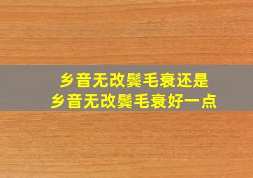 乡音无改鬓毛衰还是乡音无改鬓毛衰好一点