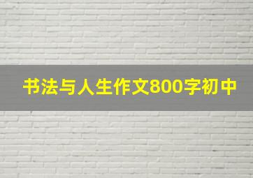 书法与人生作文800字初中