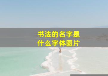 书法的名字是什么字体图片